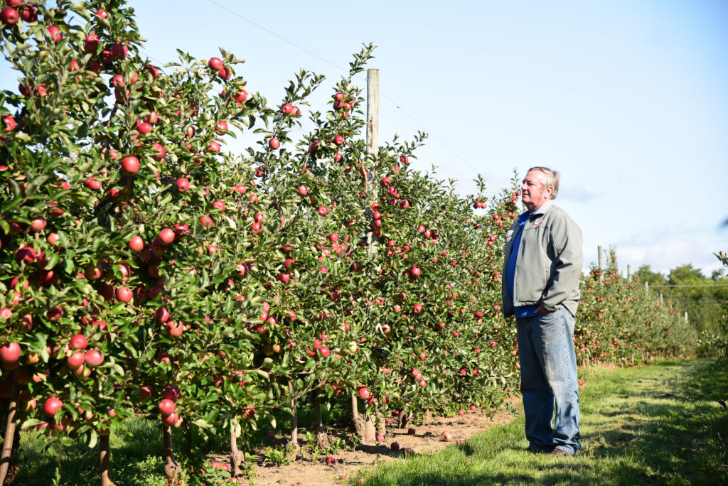 Jim Bittner of Bittner/Singer Orchards | SnapDragon Apples